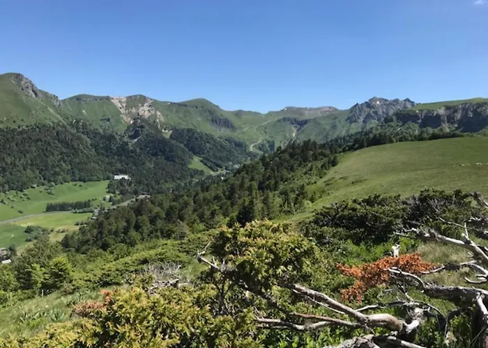 Renove Avec Wifi - Centre Dore - Fr-1-608-105 *